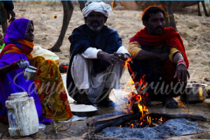 An Evening by the Fire