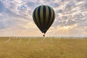 Savannah Majesty Peaceful Sky View